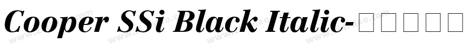 Cooper SSi Black Italic字体转换